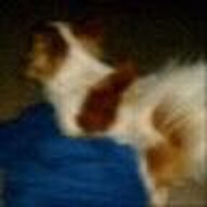 Meet your Posher, Summer